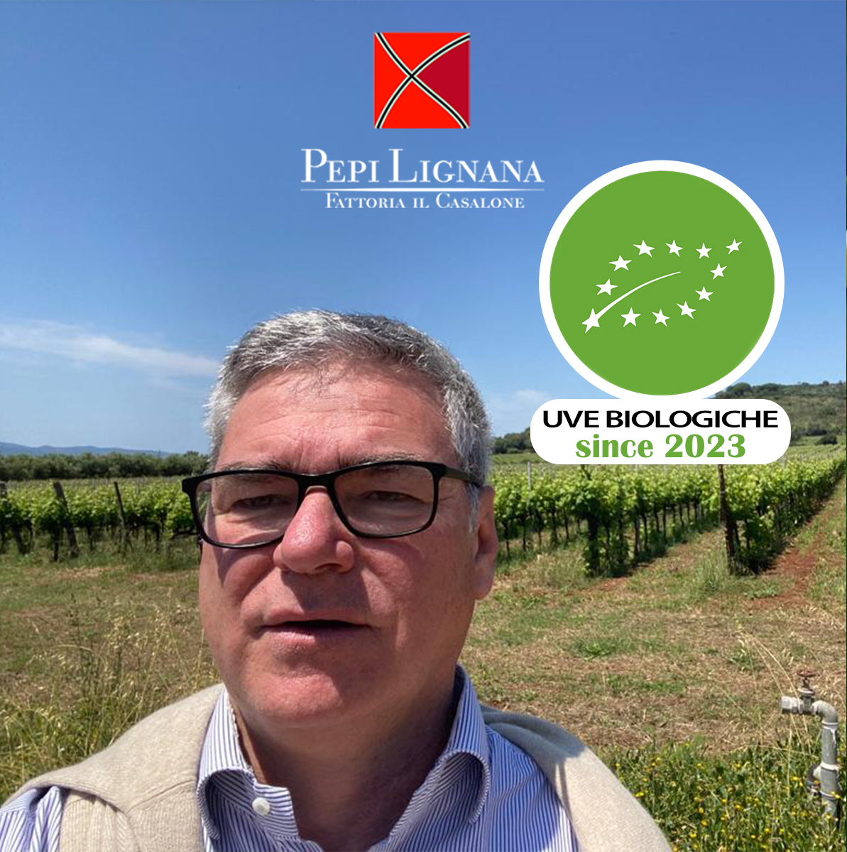 uve-biologiche-pepilignana-wine-2.jpg