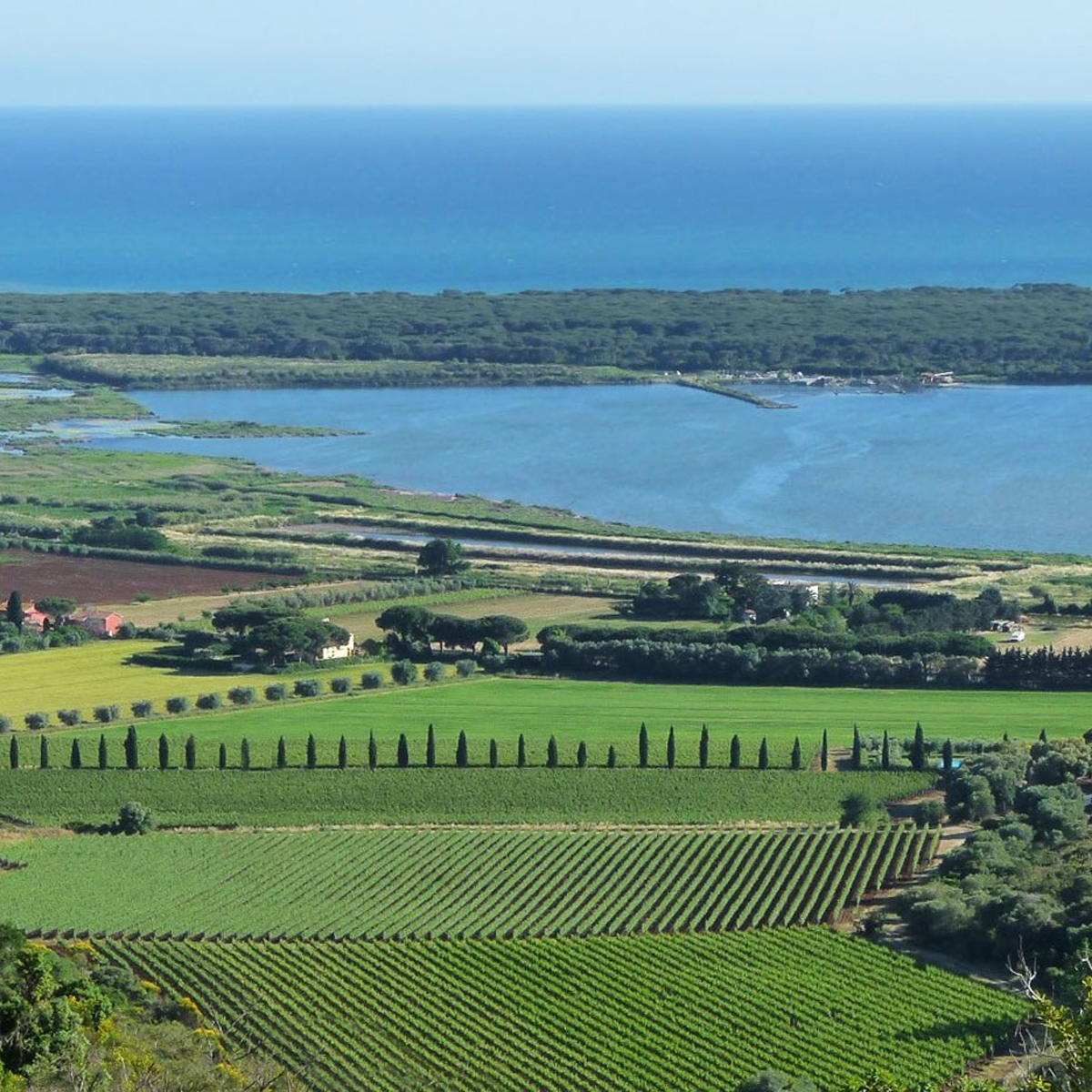 Vermentino Gran Prix 2026 Pepi Lignana 11