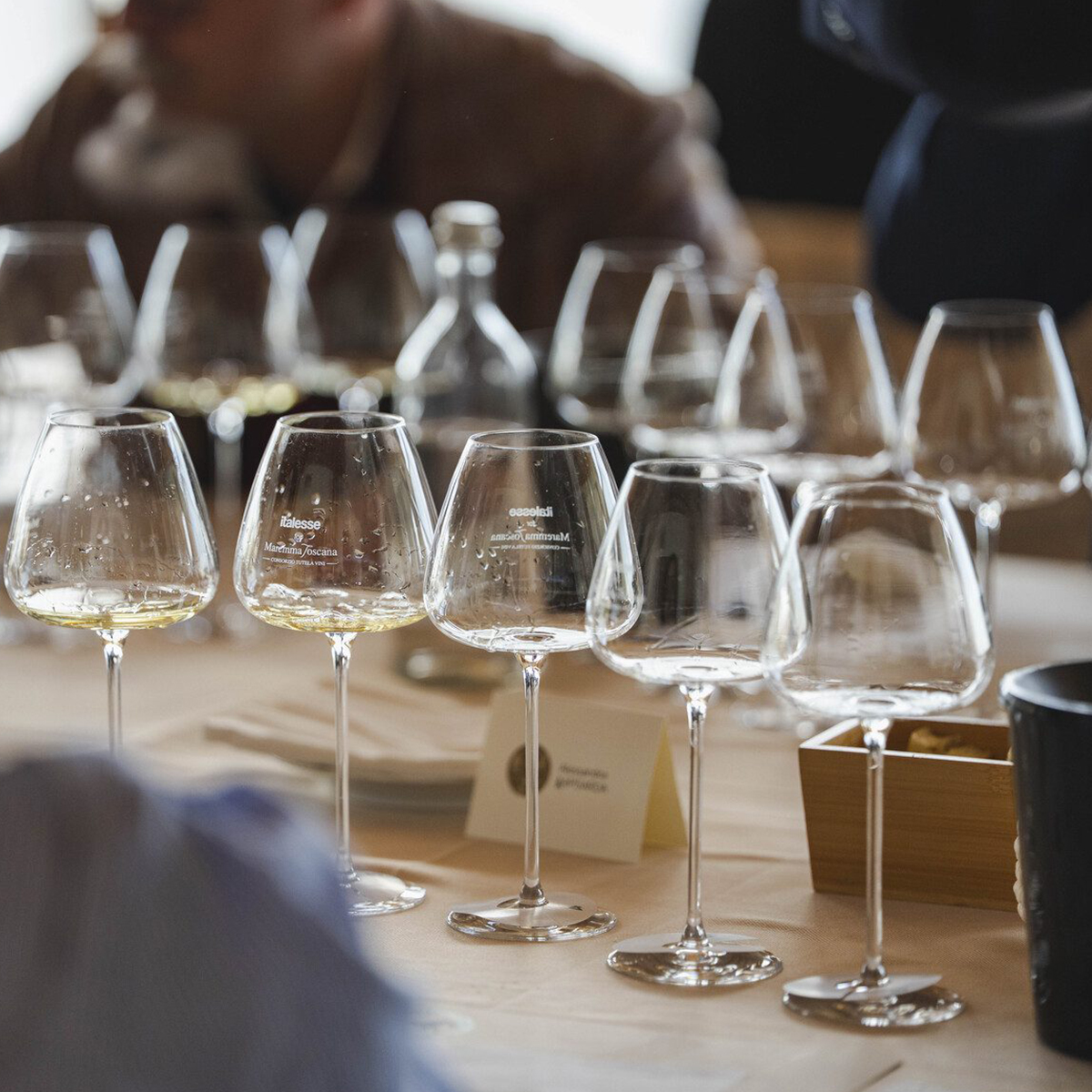 Vermentino Gran Prix 2026 Pepi Lignana 3