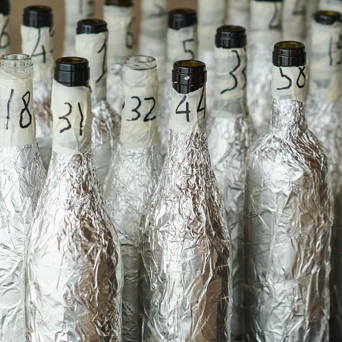 Vermentino Gran Prix 2026 Pepi Lignana 8