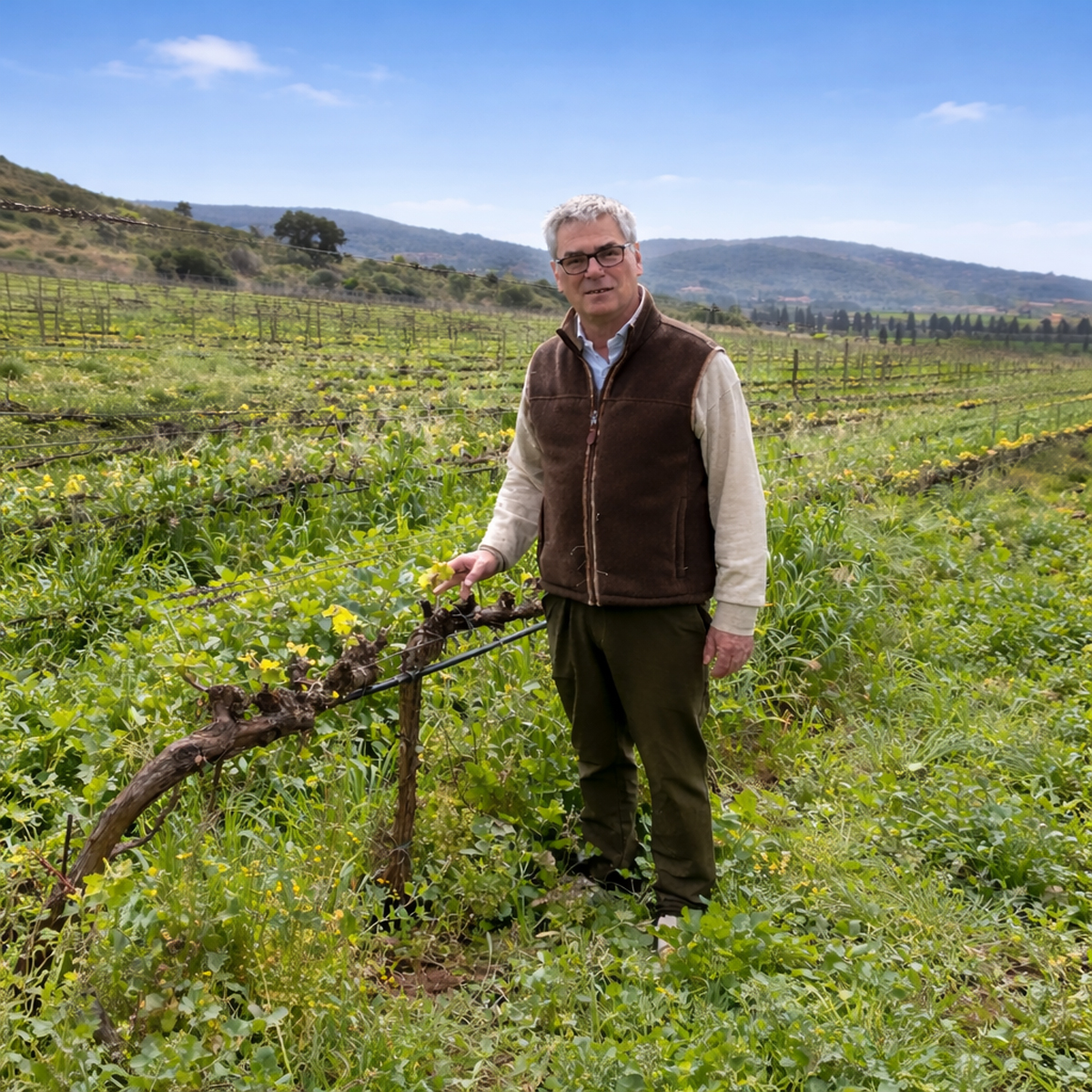 Pepi Lignana Wine Vini Biologici 3