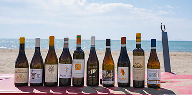 top 10 vermentino maremma toscana doc